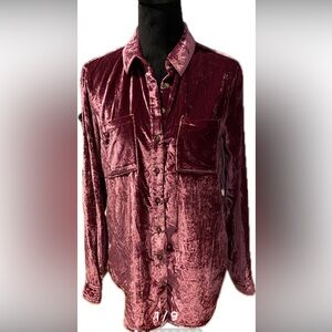 Pilcro Velvet Blouse